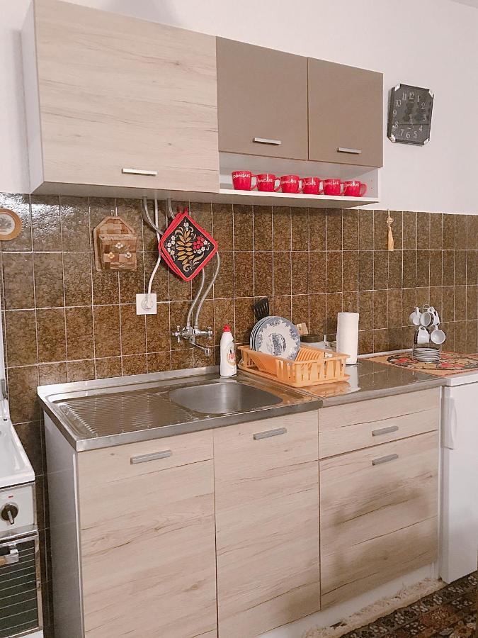 Apartman Marija ズラティボール エクステリア 写真