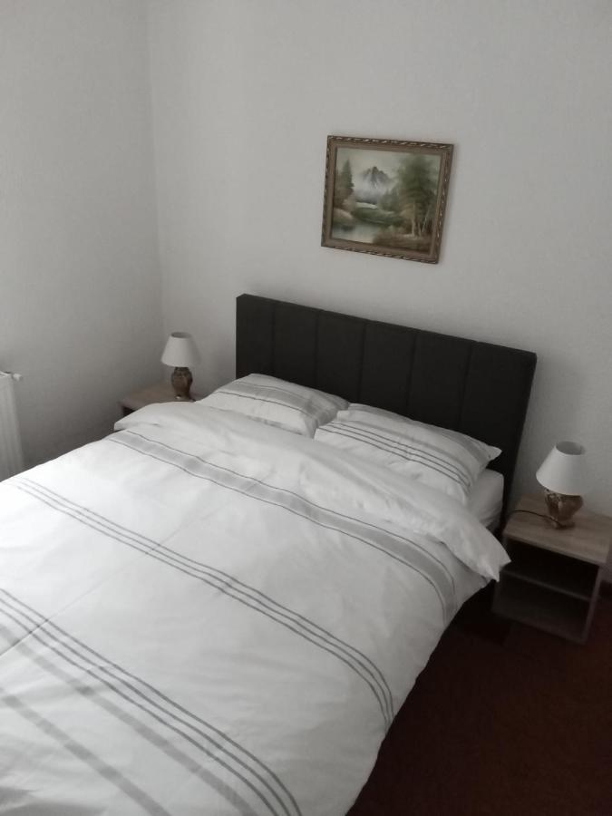 Apartman Marija ズラティボール エクステリア 写真
