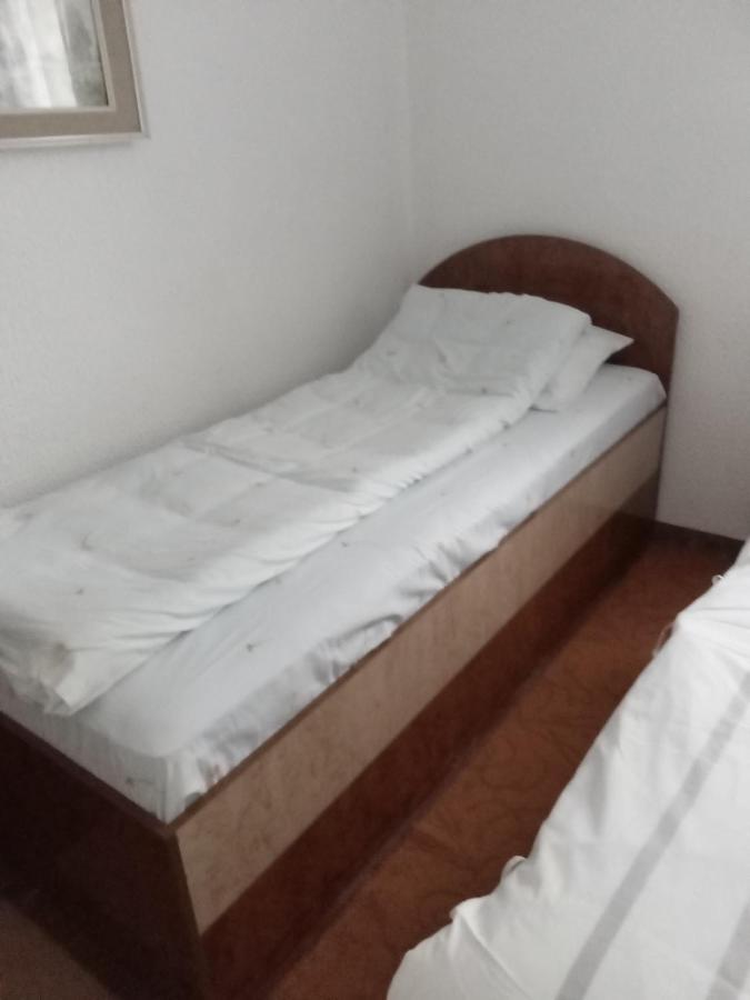 Apartman Marija ズラティボール エクステリア 写真