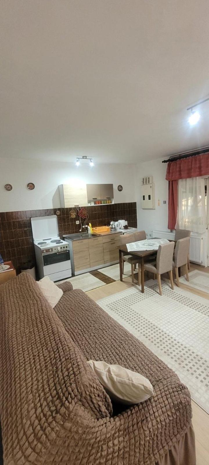 Apartman Marija ズラティボール エクステリア 写真